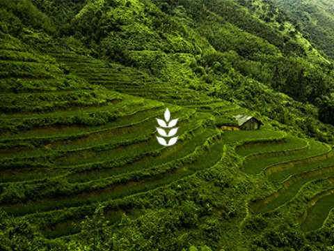 FRESH FARM