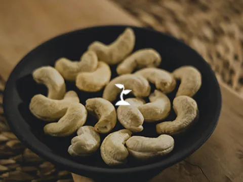 FINE FOOD