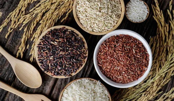 Gạo dinh dưỡng — Sunrise Ins export