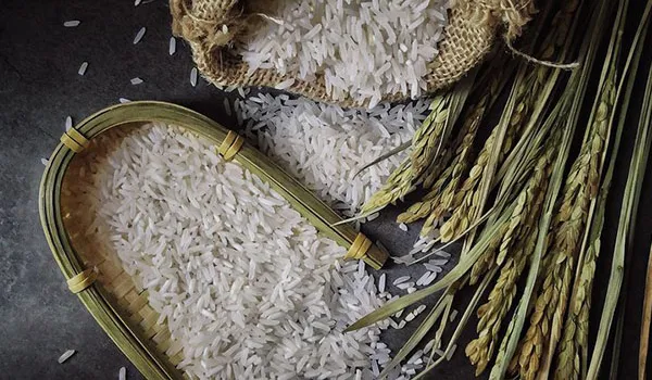 Gạo trắng hạt dài