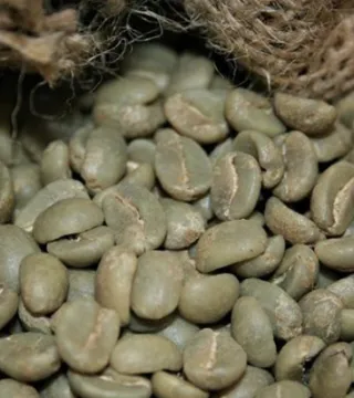 Cà phê Robusta nhân xanh